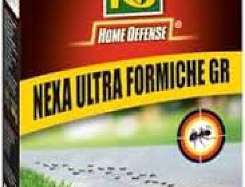 NEXA ULTRA FORMICHE