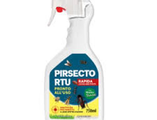 PIRSECTO